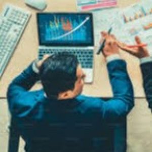 Individual Freelancer